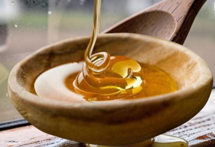 Wild Forest Honey